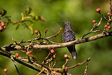 太空开放世界生存制作游戏《异星探险家》DLC“失错行者”正式推出 获特别好评